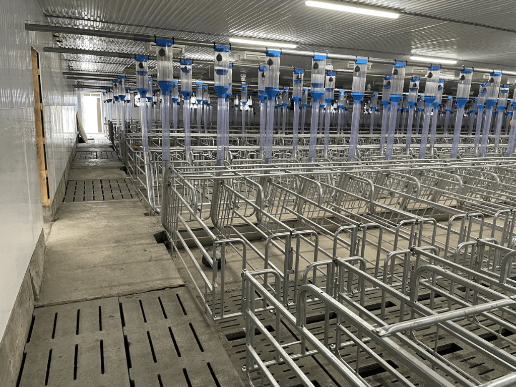 IEL Technologie agricole - Cage de gestation